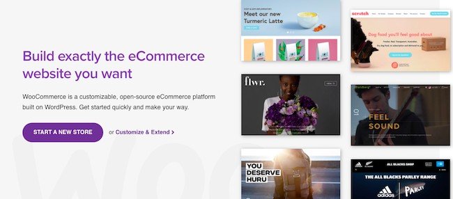 WooCommerce WordPress Plugin