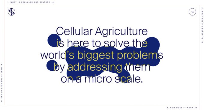 Designs criativos de sites WordPress